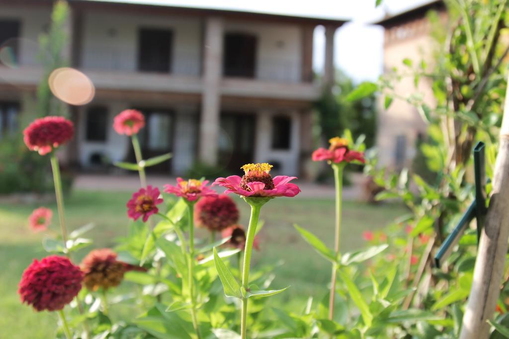 Il Ghiandolino Villa อิโมลา ห้อง รูปภาพ