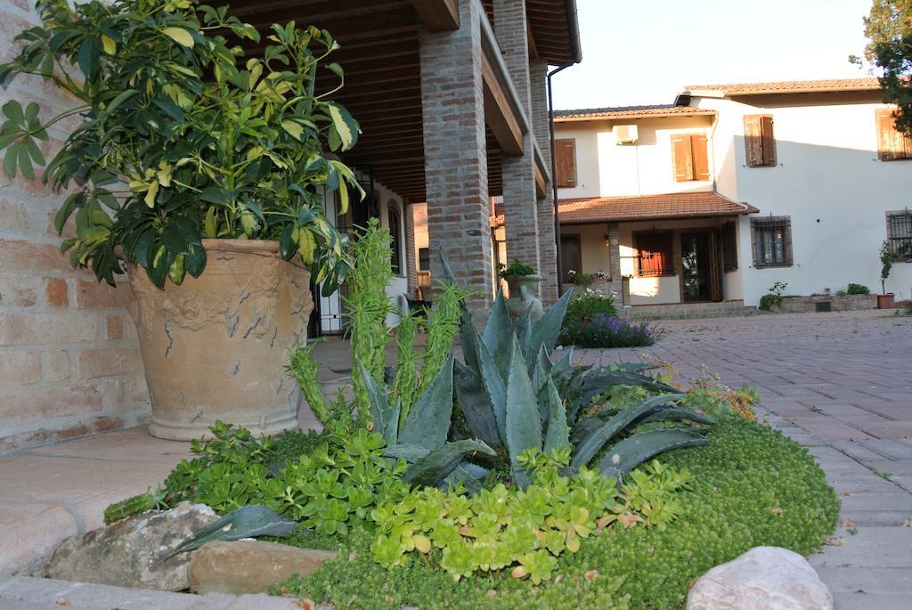 Il Ghiandolino Villa อิโมลา ภายนอก รูปภาพ